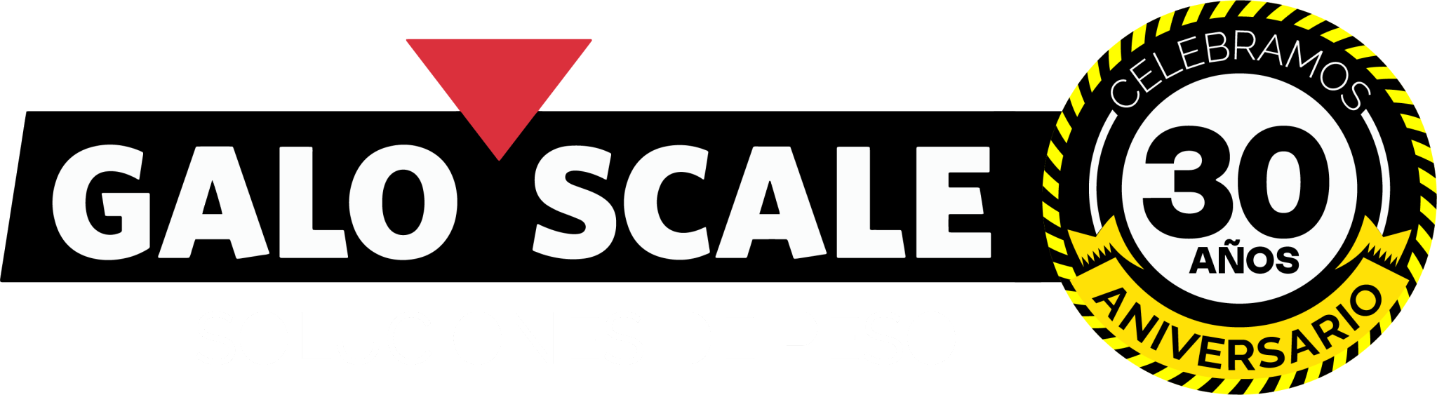 GaloScale Logo